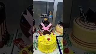 cake studio 100%vag shop