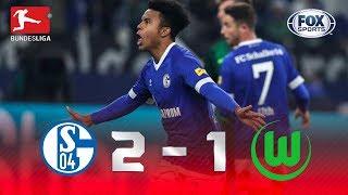 Schalke 04 - Wolfsburgo [2-1] | GOLES | Jornada 18 | Bundesliga