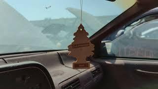 Lemon Little Tree Air Freshener in California Junkyard, 2023