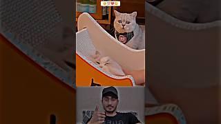 Sunwin | Link tải sunwin Respect animals ️#Ep_01