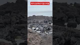 #제주올레20코스#김녕해변지질트레일#2025/6/7#
