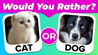  Would You Rather ...?  Cute Animal Edition 