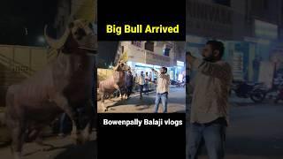 Bowenpally Mantri Sai Yadav Sadar 2024  Big Bull Arrived in Bowenpally | Bowenpally Sadar 2024