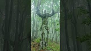 Tree in the shape of a man... #new #peace #monolith