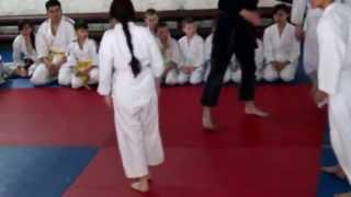 Seminar Aiki-Atemi-Jutsu, Karaganda 22.03.2015