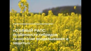 Вебинар: "Озимый рапс: особенности гибридов, технологии возделывания и защиты"