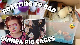 reacting to my subs BAD guinea pig cages