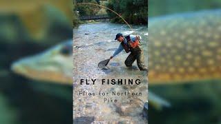 Northern Pike Flies you need for Fly Fishing 