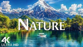 Nature 4K - Scenic Relaxation Film Of Nature With Beautiful Piano Music and Video 4K