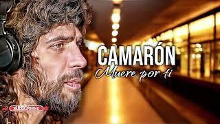 CAMARÓN IA muere por ti