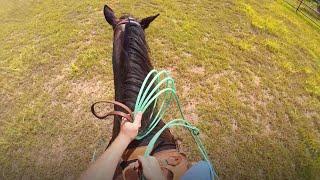 Hold your Reins Like a Team Roping PRO!