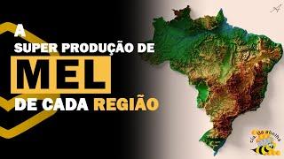 A super produção de mel de cada região !!