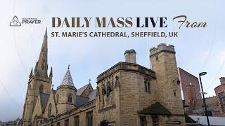 Daily Holy Mass Live | Saturday, November 09, 2024 | St. Marie's Cathedral, Sheffield, UK