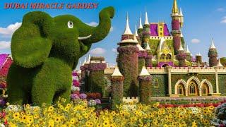 Dubai Miracle Garden Is UNREAL! Let's Walk Through This Floral Paradise | Most Beautiful Garden