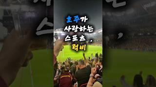 호주를 진짜로 느끼고 싶다면? 럭비 경기 보세요 #호주일상 #호주브이로그 #호주워홀 #브리즈번일상 #선콥스타디움 #브리즈번여행 #호주여행추천 #럭비경기 #럭비직관 #브롱코스