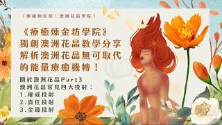 澳洲花晶常見三大投射：內在小孩對澳洲花晶的權威投射️內在小孩對澳洲花晶的責任投射 ️內在小孩對澳洲花晶的金錢投射 ️