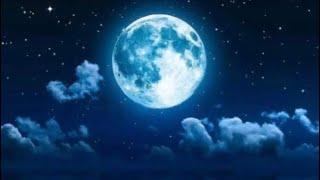 Sebastian s. Thompson- The Moon Kingdom