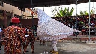 Enugwu Ukwu Ipia Agba Masquerade Festival 2022 || Anambra Nigeria