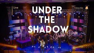 David Dam - Under The Shadow | Live | (Official Video)