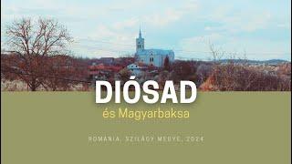 SZILÁGYSÁG : Diósad és Magyarbaksa / Dioșod, Bocșița (121)