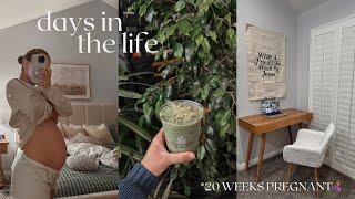 DAYS IN THE LIFE: announcing pregnancy, catching up, plant nursery, new desk, etc!