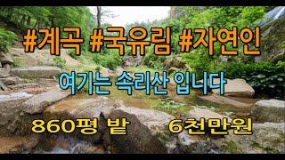 [속리산국립공원내사유지860평]속상한일있으세요?삽한자루들고오실수있나요?!#괴산땅매매#충청도땅매매#충북토지매매#귀촌#귀농#괴산토지매매#청천면토지매매#청주부동산#계곡땅매매#경기도땅매매