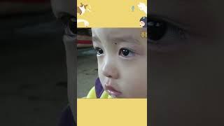 썰매가 끄는 썰매에 탄 아기 #shorts