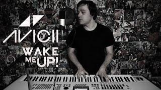 Avicii - Wake Me Up (Dani Rosenoer Cover)