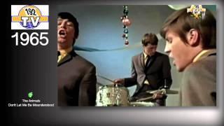 The Animals - Don't Let Me Be Misunderstood 1965