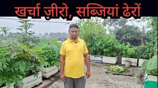 Zero Budget Kitchen Garden Kitchen waste Compost Garden