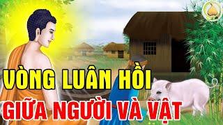 Luật Nhân Quả Chớ Xem Thường, SỰ THẬT Về Vòng LUÂN HỒI Giữa Người Và Vật Truyện Mới 2024 Hay Nhất