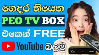 SLT PEO Tv එකෙන් free youtube බලලා internet යමු | How to watching Youtube and Net browsing  SLTPEOtv