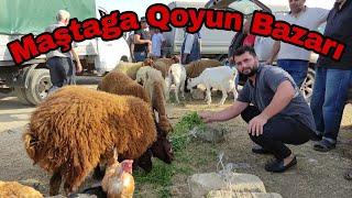 Maştaga Qoyun Bazarı #elixezer #mastagamalbazari