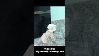 Monkey Hair Red and Baby are very curious with their cute mouse part 3 #short