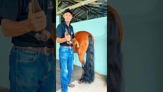 The most peaceful moment ~wood working art skill wood / hand crafts #shorts
