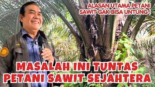 Masalah Utama Pertanian Sawit, Ternyata Ini yang Membuat Petani Terus Merugi