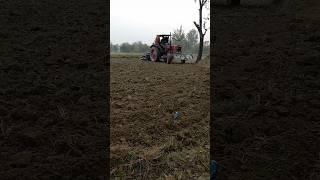 Village life and nature Land  Tractor  Wheat seeds for planting#villagelife #nature #2millonviews