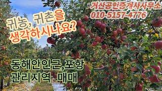 포항 동해안 과수원,매매, 포항 부동산, 포항 토지,포항 농지,포항 임야, 매매_거산부동산, 거산공인중개사사무소