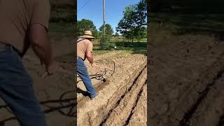 Making garden rows with an Earthway wheeled cultivator- simple and easy method!