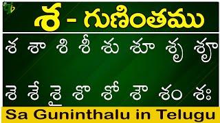 శ గుణింతం | Sa gunintham | How to write Telugu Sa guninthalu | Telugu varnamala Guninthamulu