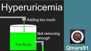 Hyperuricemia (Made Simple)