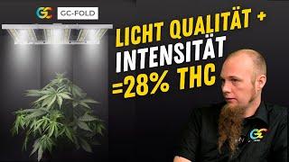 Greenception Fold - Projektlicht für Experten mehr THC durch Beleuchtungsstrategien und Infrarot