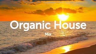 Organic House/Downtempo/Deep House/Chillout Mix 2024