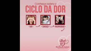 Ciclo da Dor