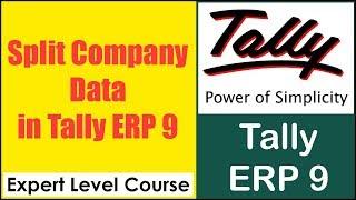 How to Split Company Data in Tally ERP 9 | Tally Advance Course