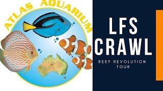 Atlas Aquariums - QLD LFS Crawl