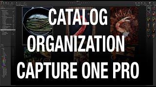 How To Start Using Capture One Catalogs. Albums, Smart Albums, Projects, and Groups Explained