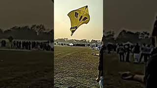 Guess Kinne Tawa ? Patang Lover Patang wali video #shorts #youtubeshorts #patang #bigkite #viral