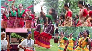 Rabha Hasong Tittle Song Dance Video | Death Inniversarry KalaGuru BisnuPrasad Rabha 2022