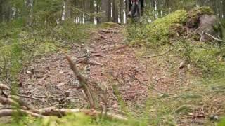 Rönnåsen 20100509.wmv